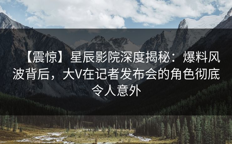 【震惊】星辰影院深度揭秘：爆料风波背后，大V在记者发布会的角色彻底令人意外