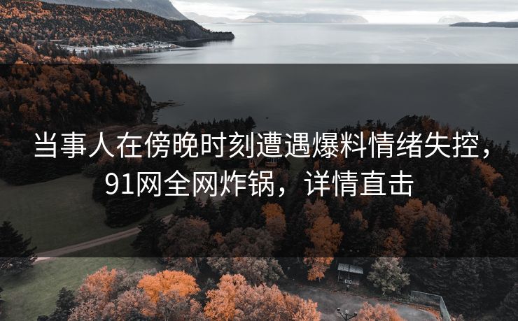 当事人在傍晚时刻遭遇爆料情绪失控,91网全网炸锅,详情直击 当事人在傍晚时刻遭遇爆料情绪失控,91网全网炸锅,详情直击