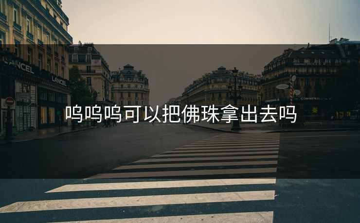 呜呜呜可以把佛珠拿出去吗