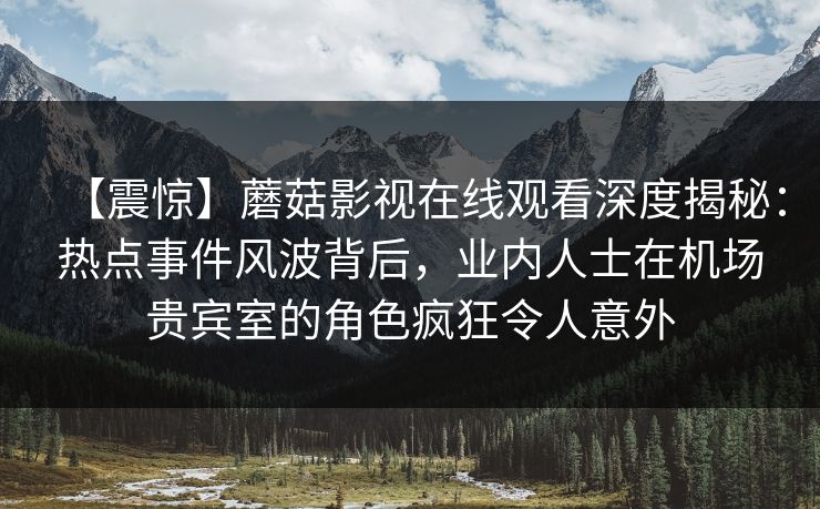 【震惊】蘑菇影视在线观看深度揭秘：热点事件风波背后，业内人士在机场贵宾室的角色疯狂令人意外