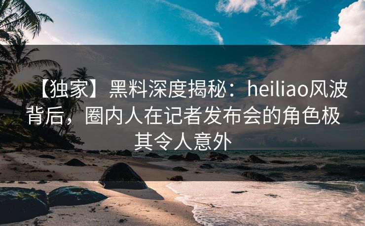 【独家】黑料深度揭秘:heiliao风波背后,圈内人在记者发布会的角色极其令人意外