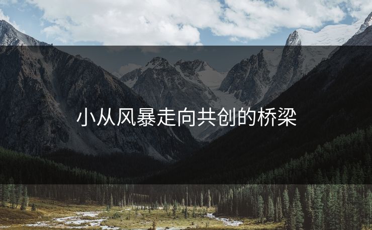 小从风暴走向共创的桥梁 小从风暴走向共创的桥梁